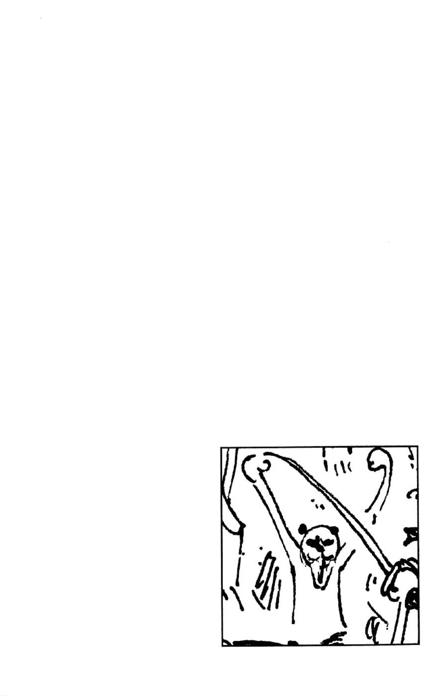 One Piece - Chapter 175 - Page 3