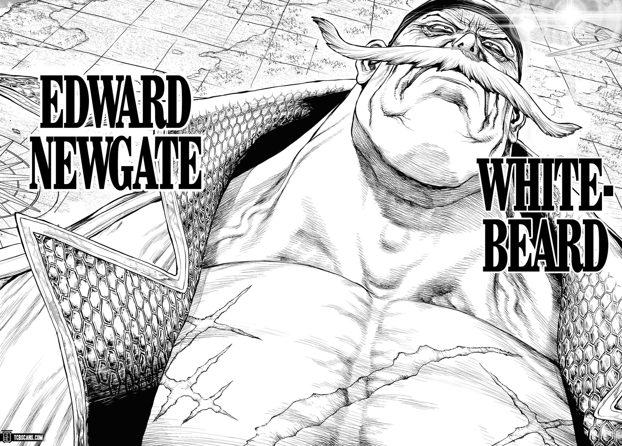 One Piece - Chapter 1003.5 - Page 20