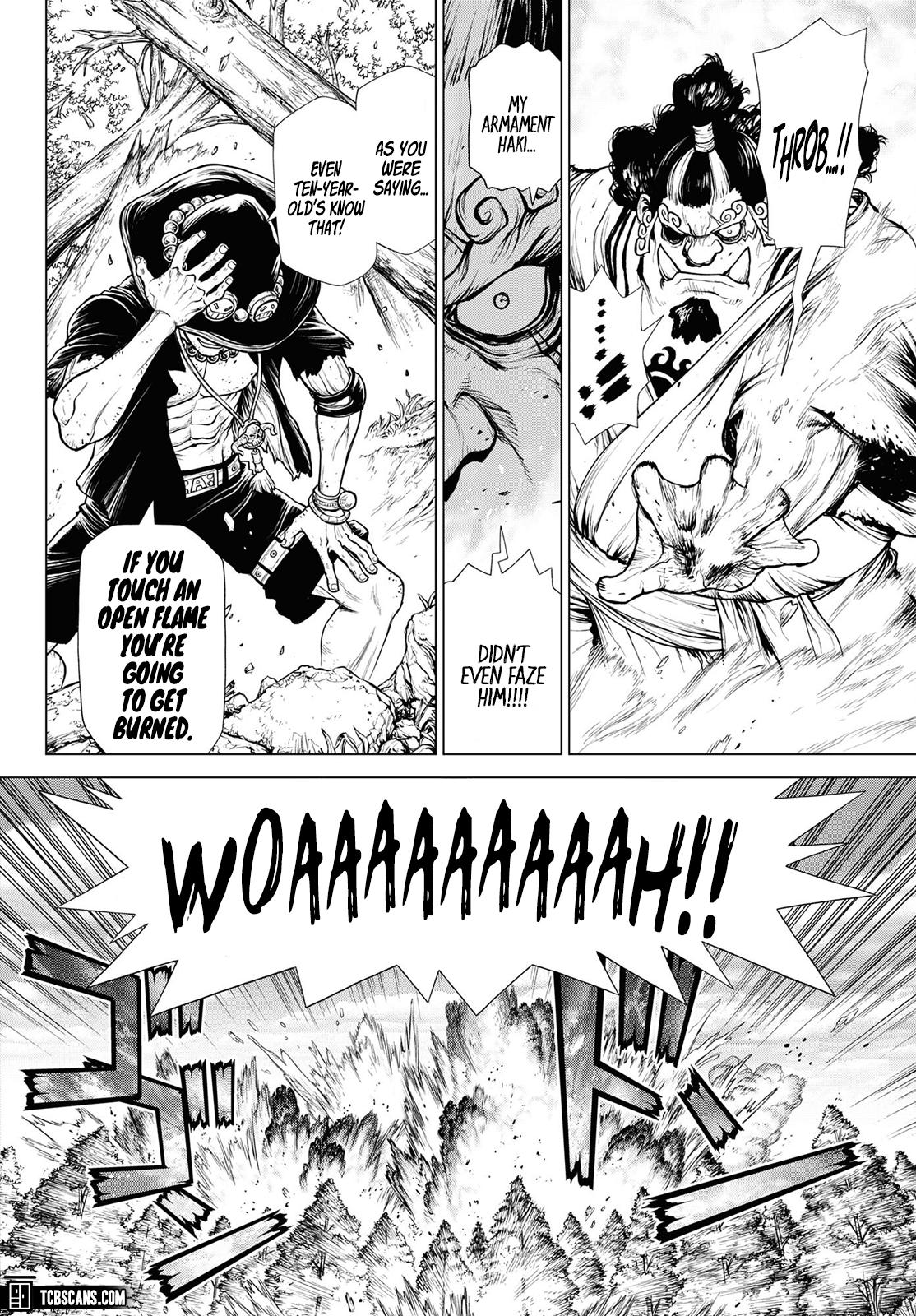 One Piece - Chapter 1003.5 - Page 48