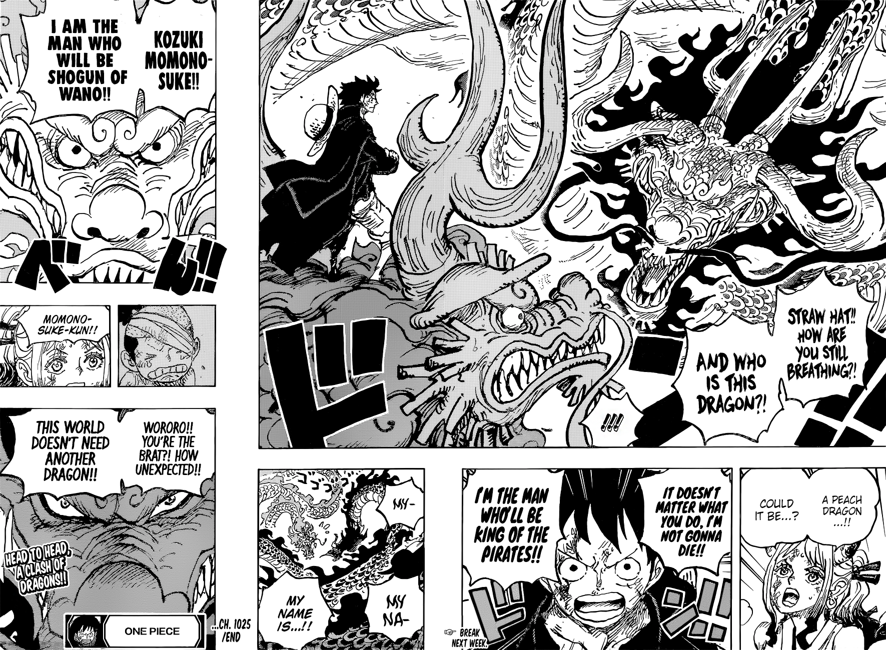 One Piece - Chapter 1025 - Page 16