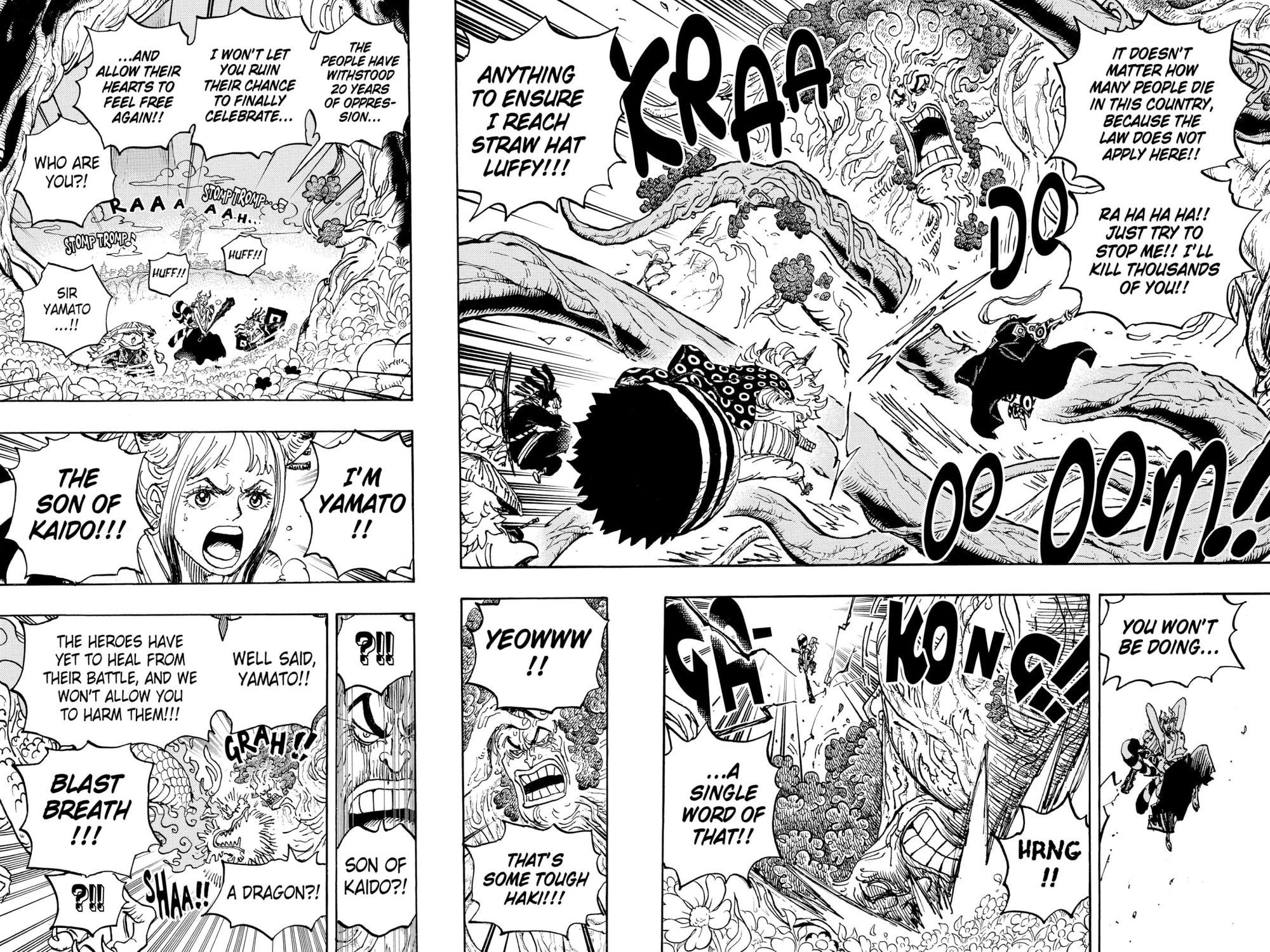 One Piece - Chapter 1054 - Page 5