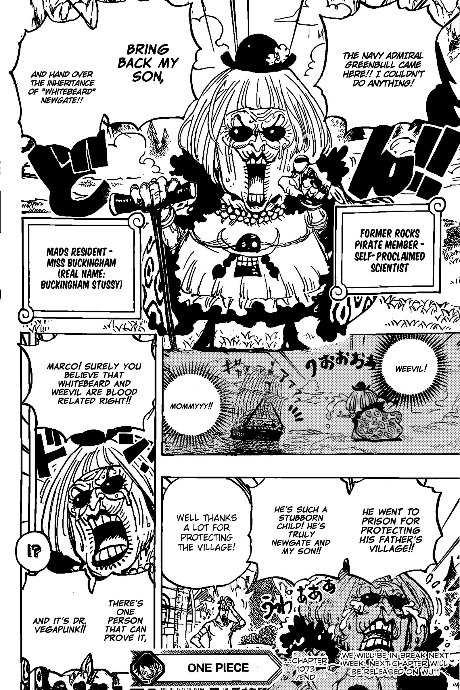 One Piece - Chapter 1072.1 - Page 15