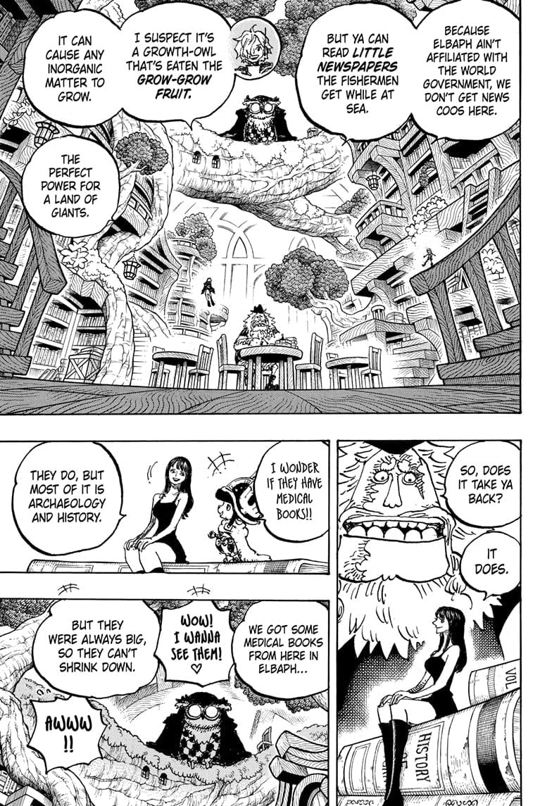One Piece - Chapter 1135 - Page 3