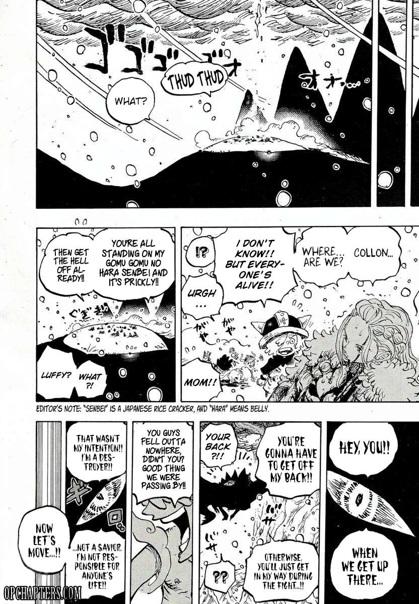 One Piece - Chapter 1174 - Page 13