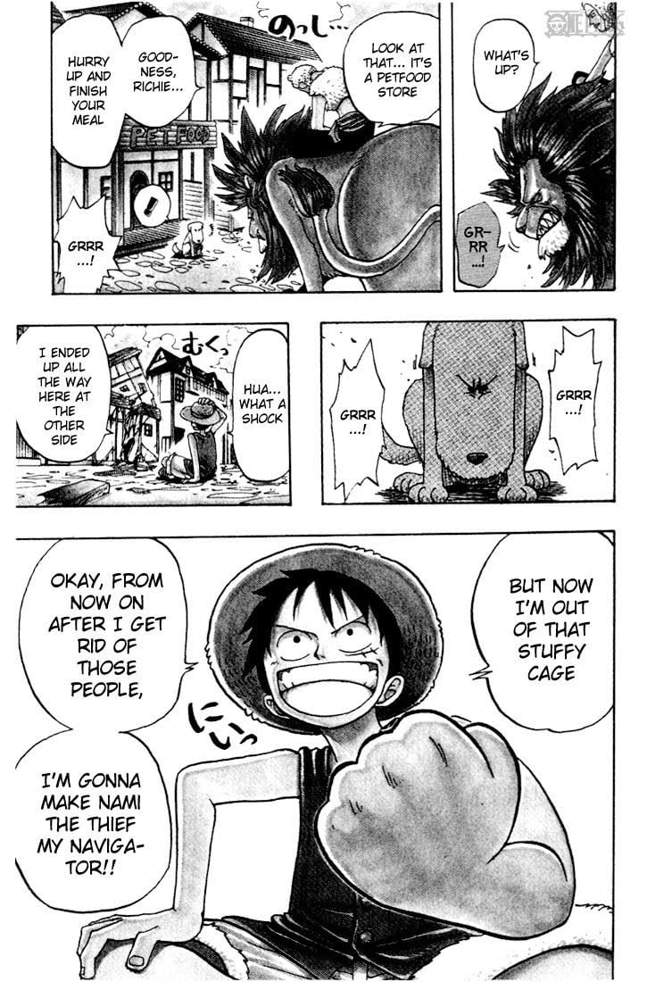 One Piece - Chapter 12 - Page 21