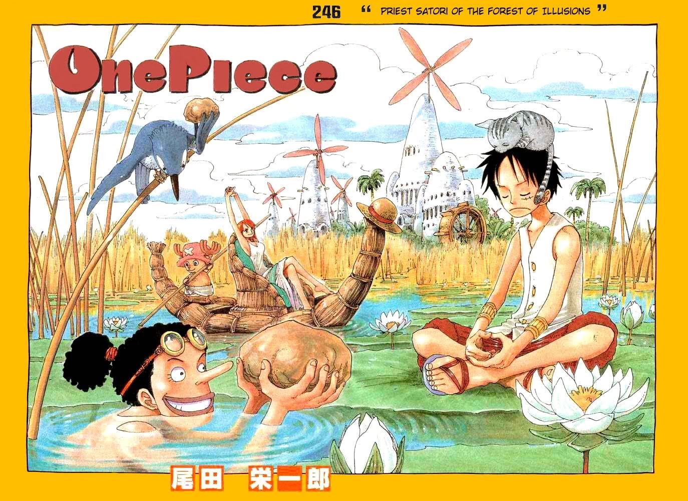 One Piece - Chapter 246 - Page 1