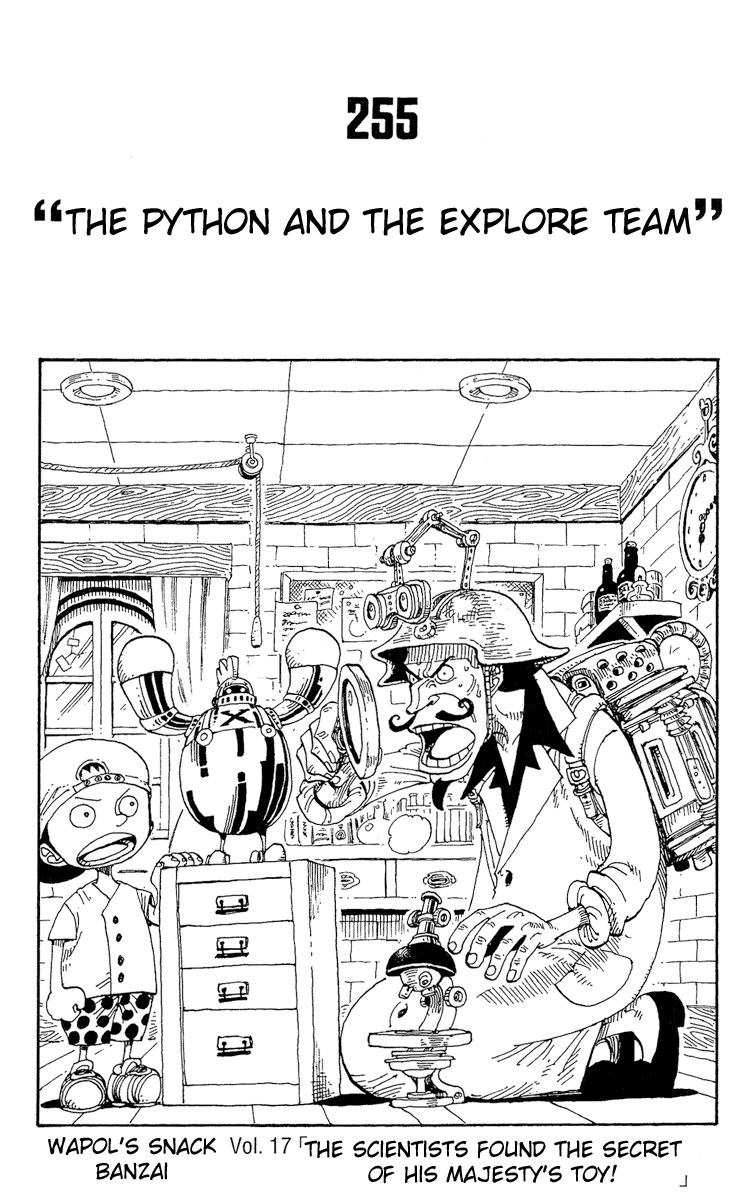 One Piece - Chapter 255 - Page 1