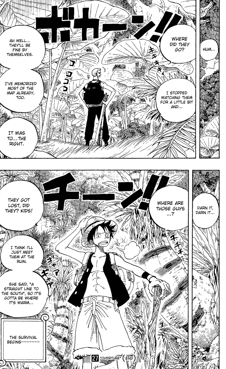 One Piece - Chapter 255 - Page 19
