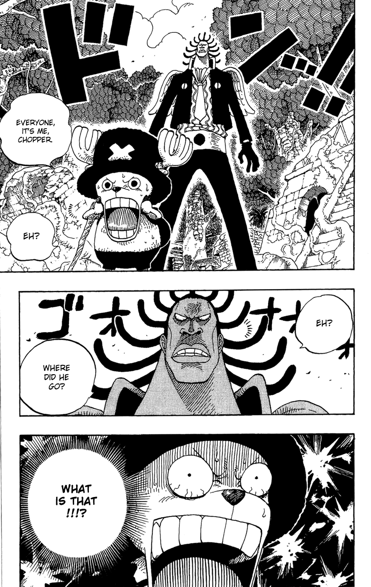One Piece - Chapter 261 - Page 19
