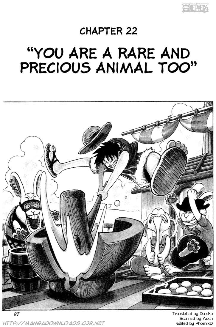 One Piece - Chapter 22 - Page 1