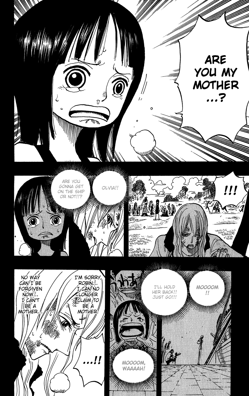 One Piece - Chapter 395 - Page 14