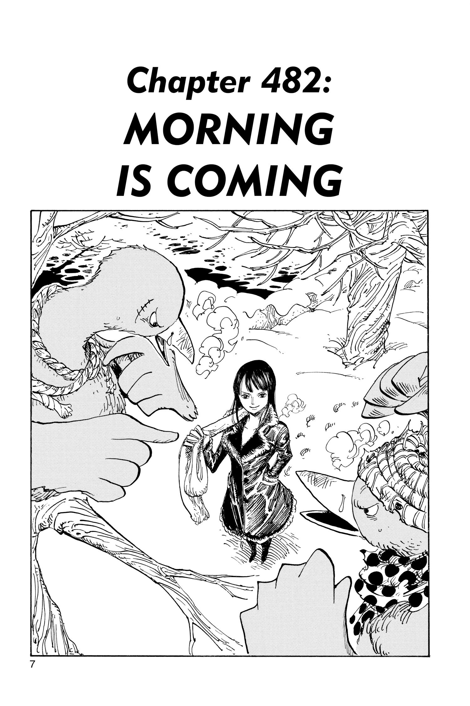 One Piece - Chapter 482 - Page 7