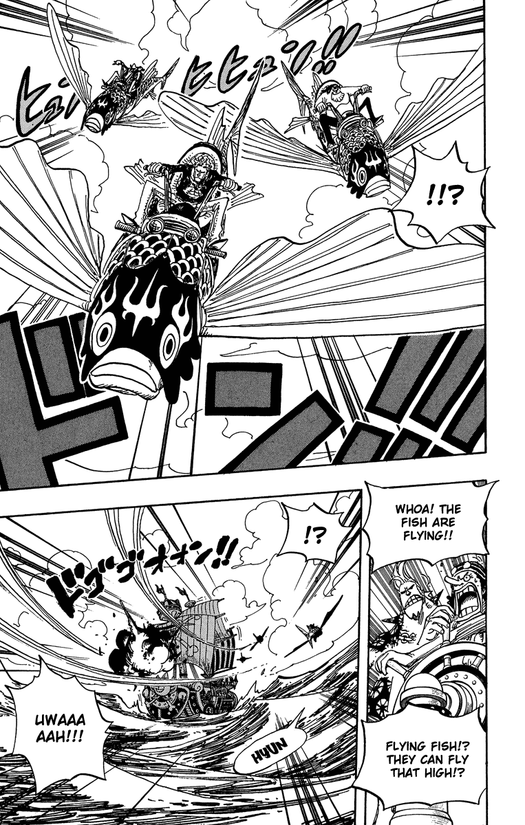 One Piece - Chapter 491 - Page 17