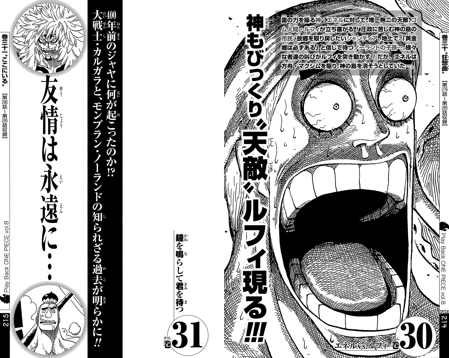 One Piece - Chapter 491 - Page 24