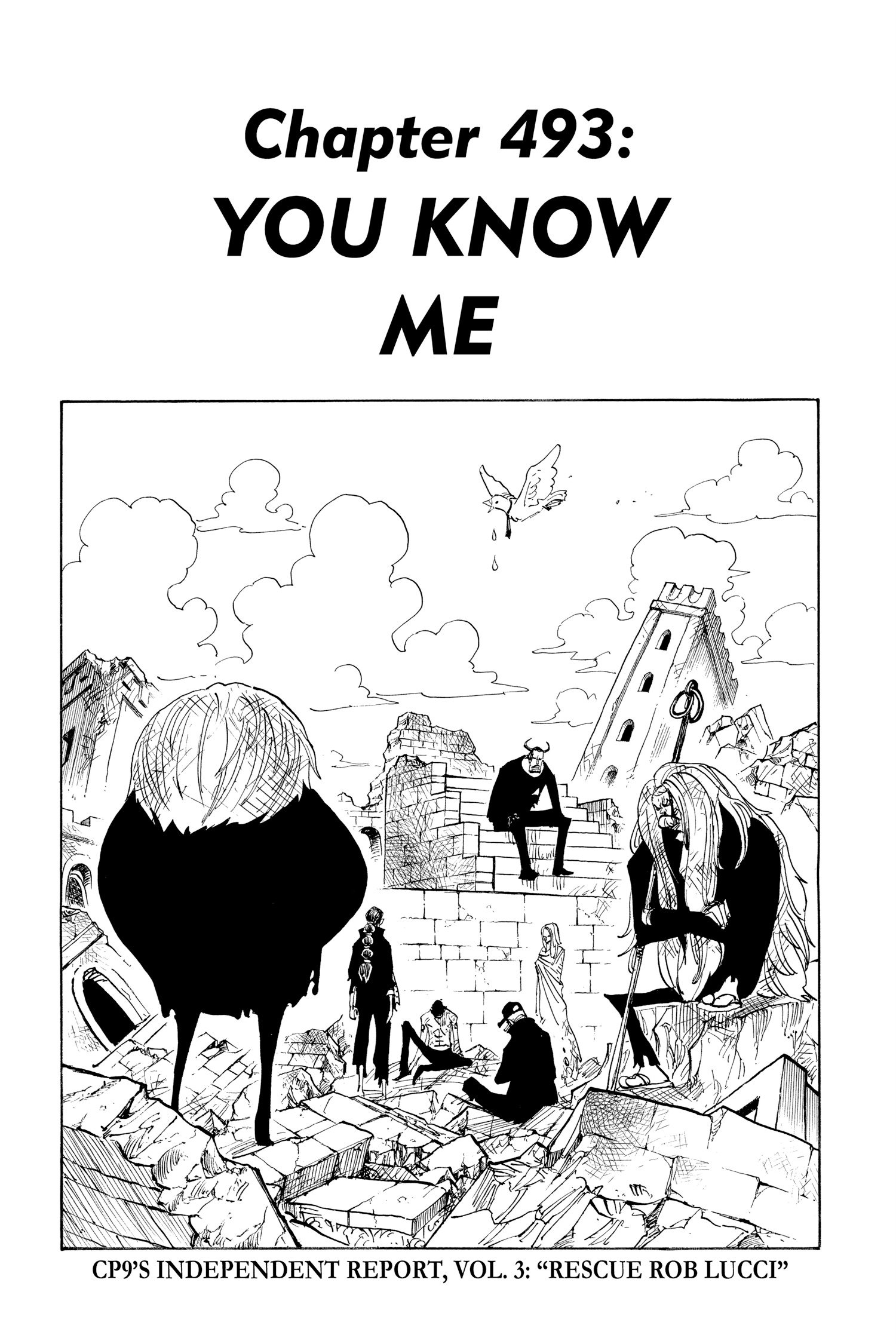 One Piece - Chapter 493 - Page 1