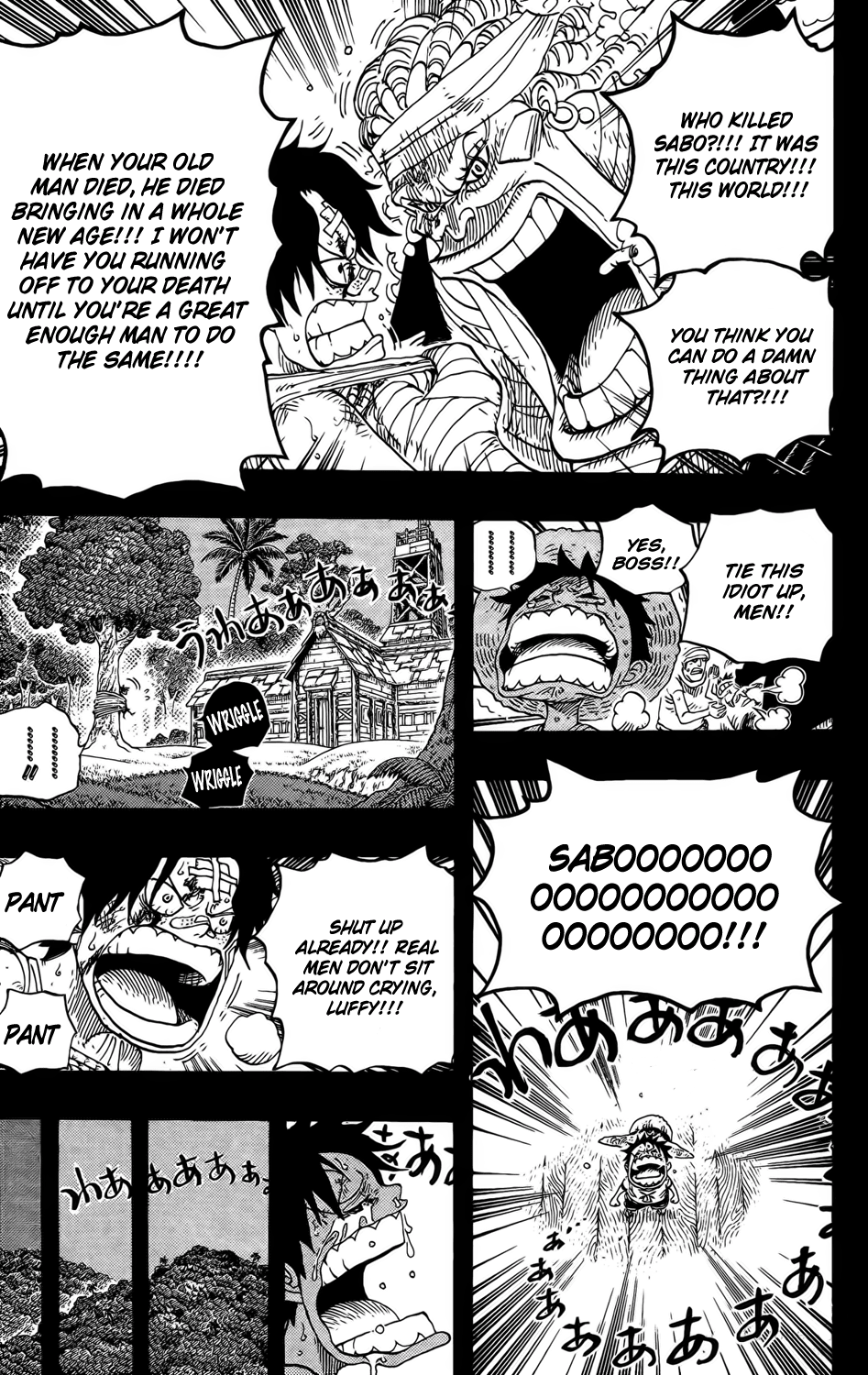 One Piece - Chapter 588 - Page 17
