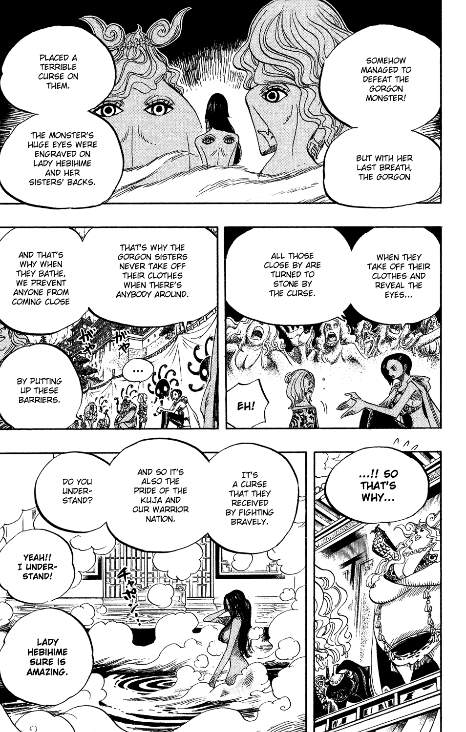 One Piece - Chapter 517 - Page 15