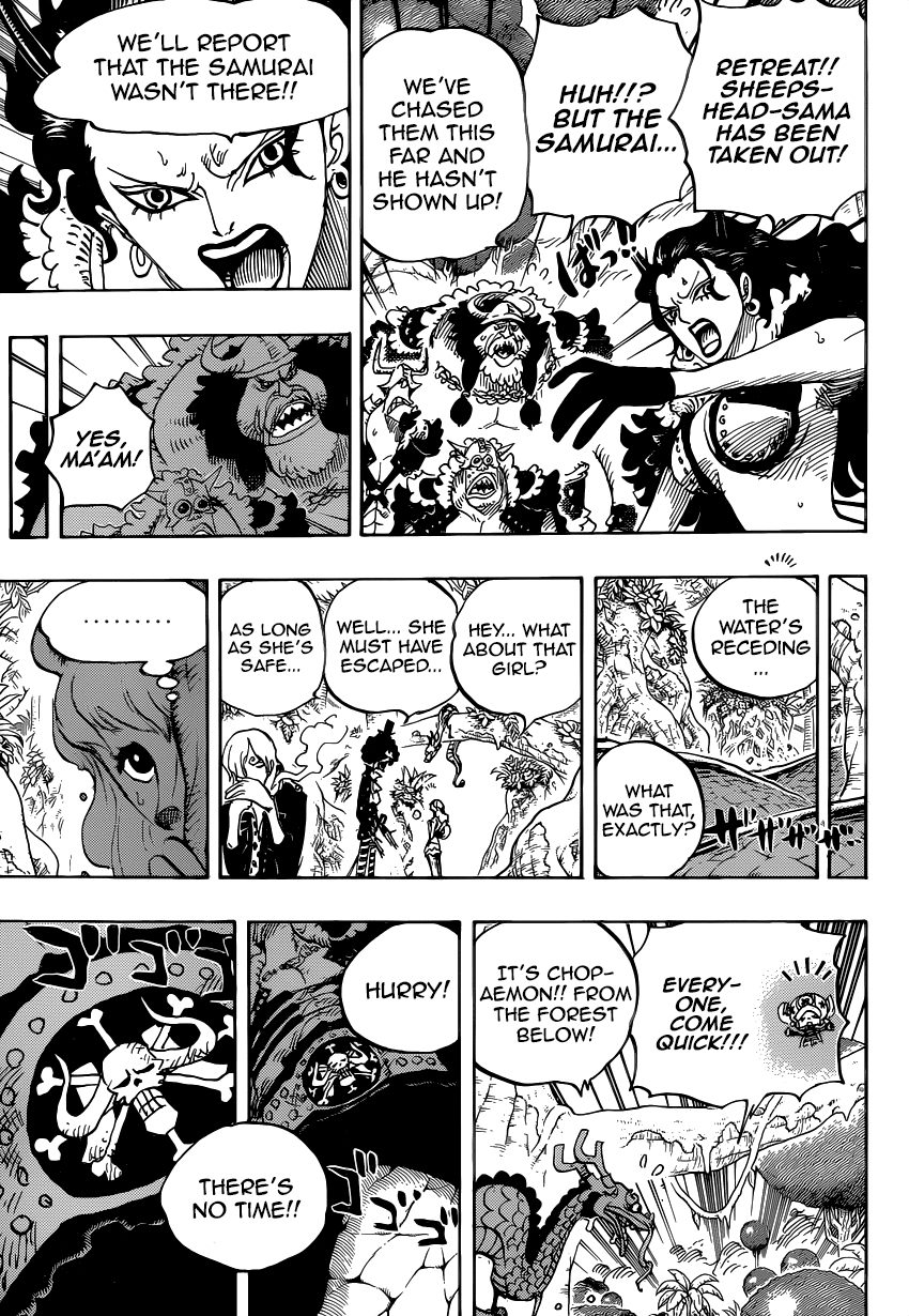One Piece - Chapter 795 - Page 11