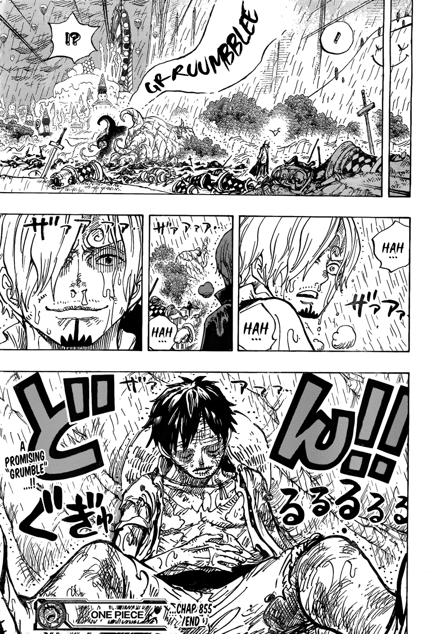 One Piece - Chapter 855 - Page 17