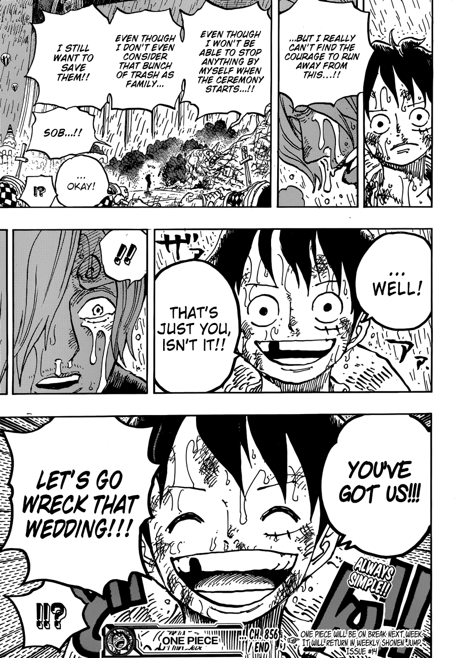 One Piece - Chapter 856 - Page 18