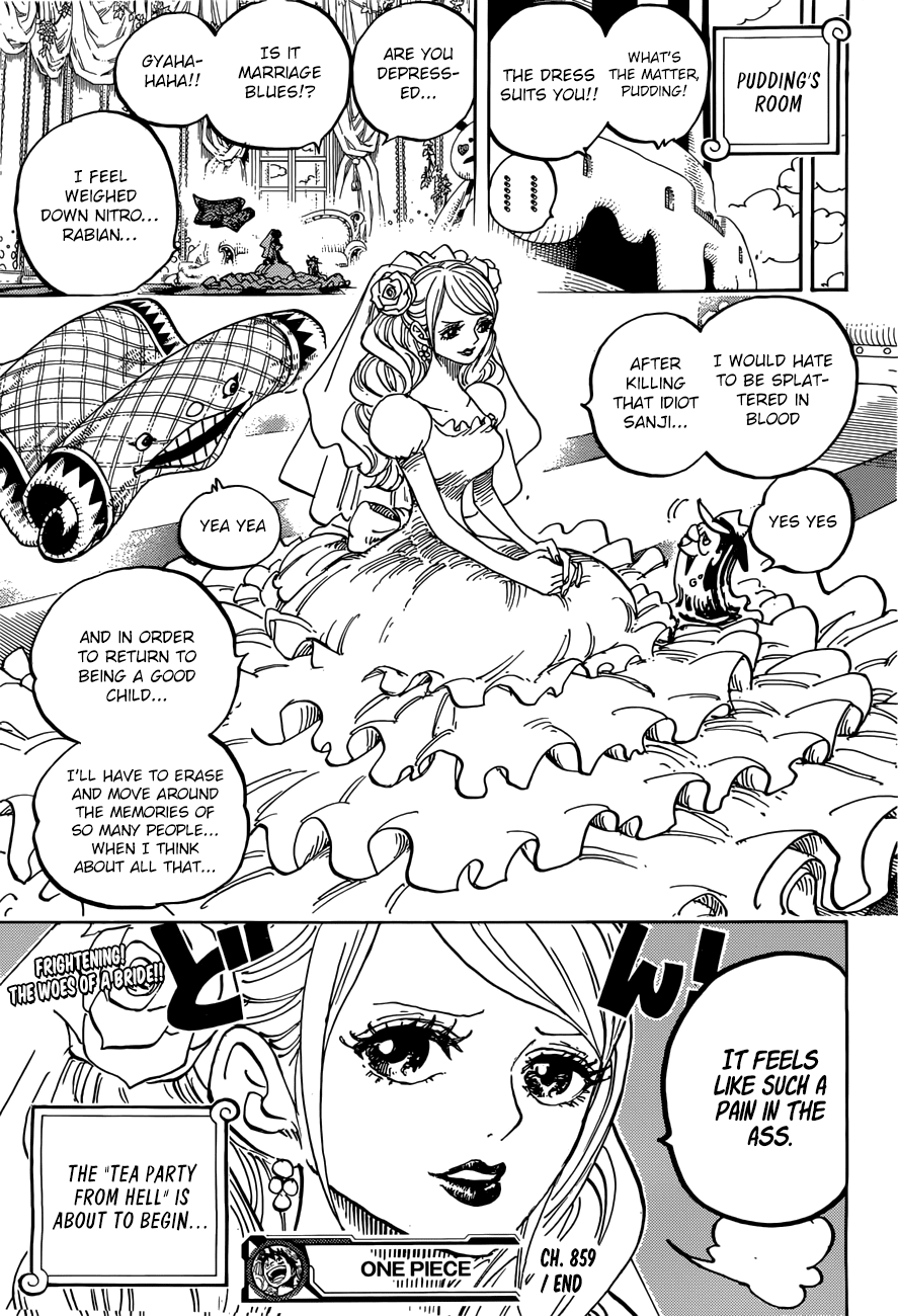 One Piece - Chapter 859 - Page 17