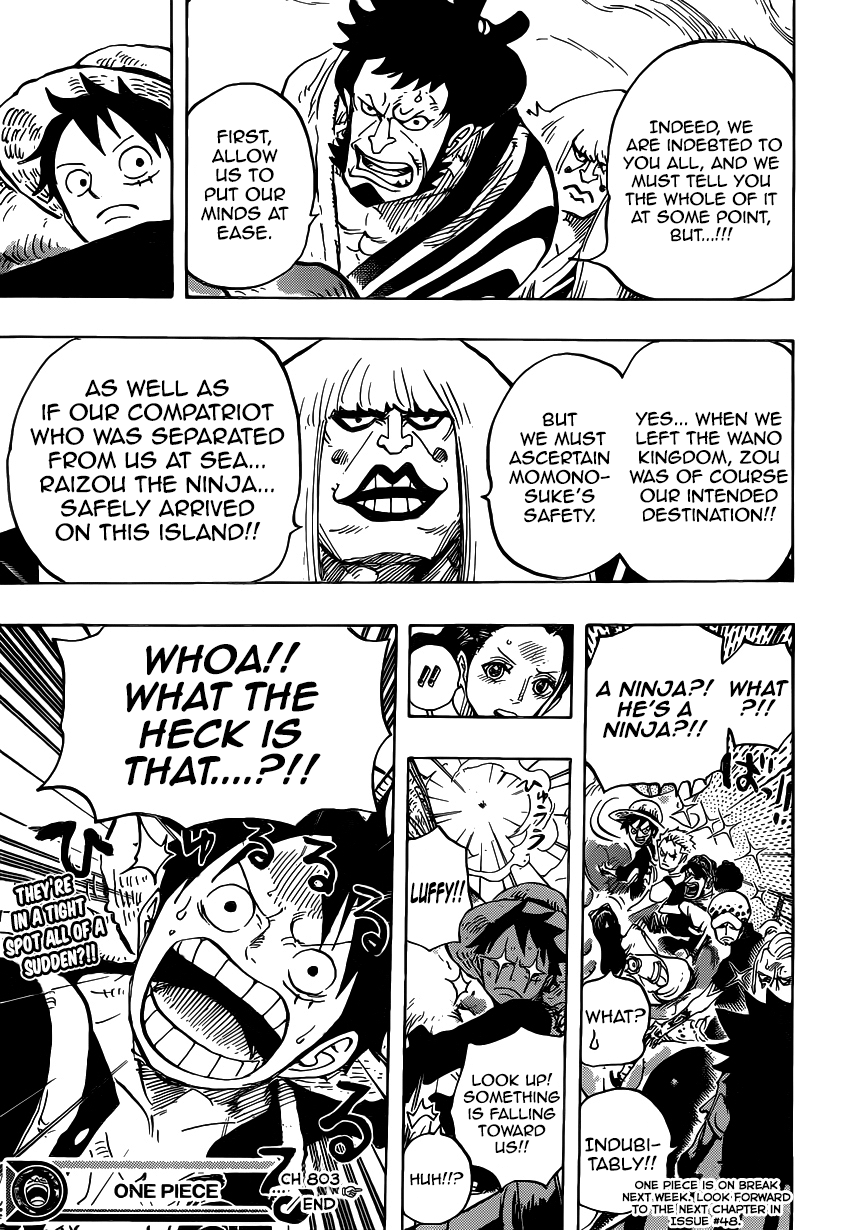 One Piece - Chapter 803 - Page 14