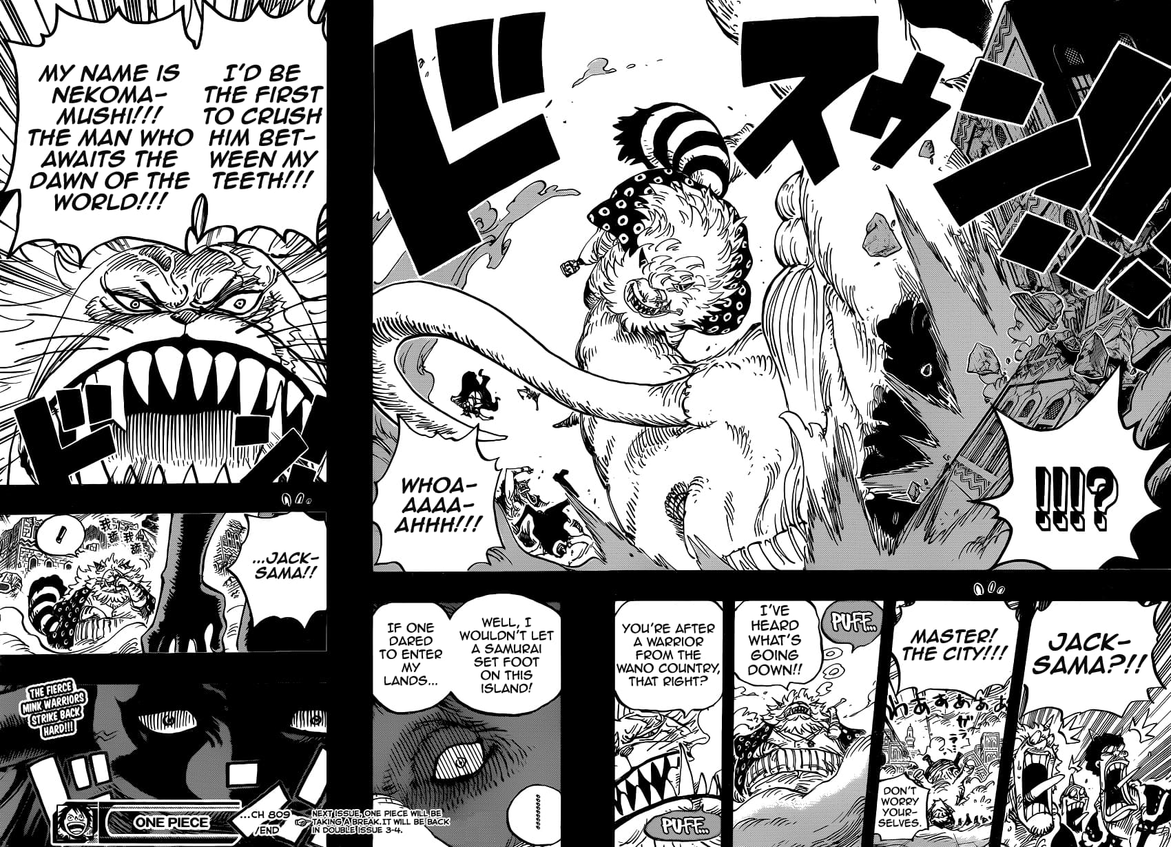 One Piece - Chapter 809 - Page 5