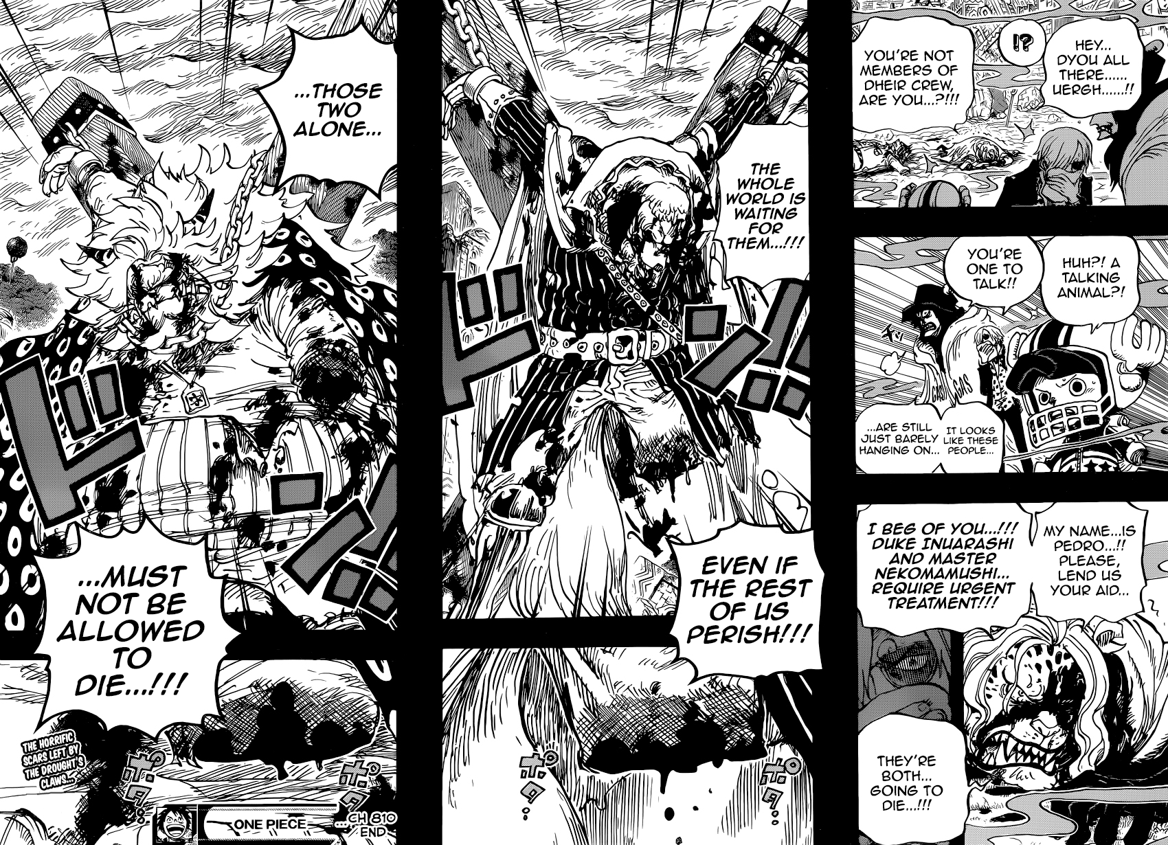 One Piece - Chapter 810 - Page 17