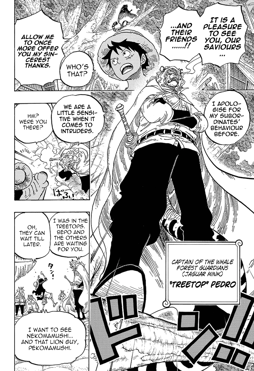 One Piece - Chapter 814 - Page 12