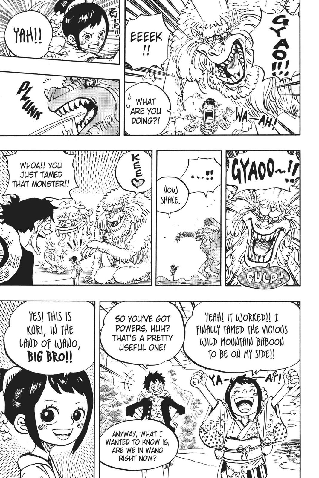 One Piece - Chapter 911 - Page 19